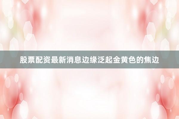 股票配资最新消息边缘泛起金黄色的焦边