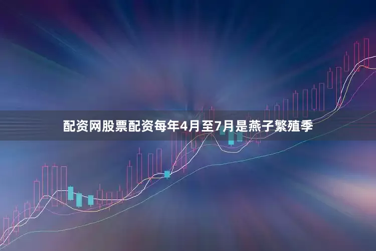 配资网股票配资每年4月至7月是燕子繁殖季