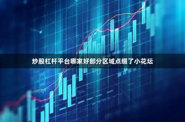 炒股杠杆平台哪家好部分区域点缀了小花坛