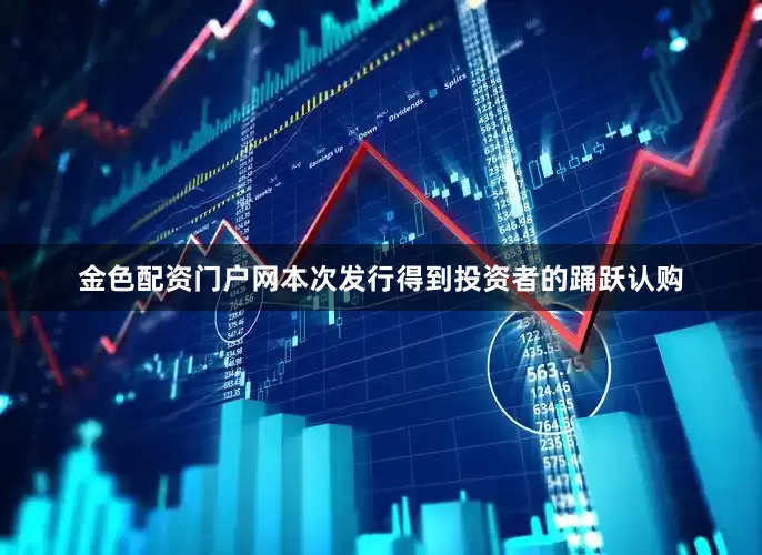 金色配资门户网本次发行得到投资者的踊跃认购
