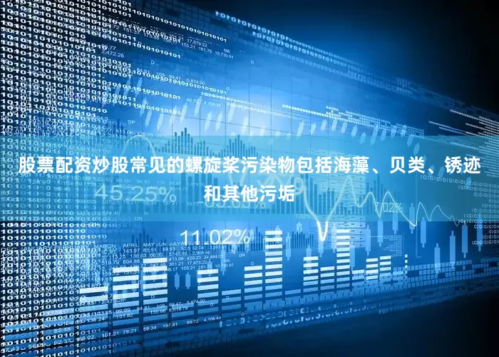 股票配资炒股常见的螺旋桨污染物包括海藻、贝类、锈迹和其他污垢