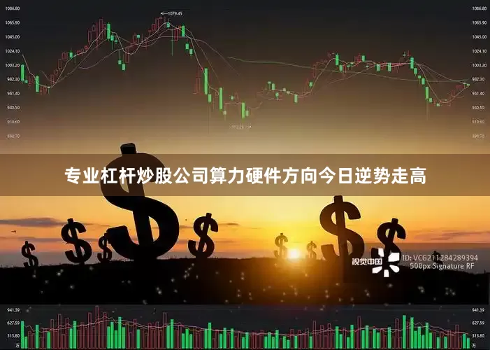 专业杠杆炒股公司算力硬件方向今日逆势走高