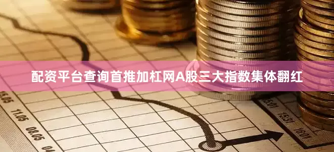 配资平台查询首推加杠网A股三大指数集体翻红